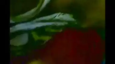 Desi chubby aunt enjoyed